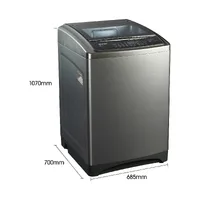 Hisense Washing Machine 8kg Top Load, Automatic with Wash & Rinse, Titanium Silver WT1D8021UT