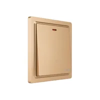 Tronic Gold - DP Switch With Neon 45 Amps