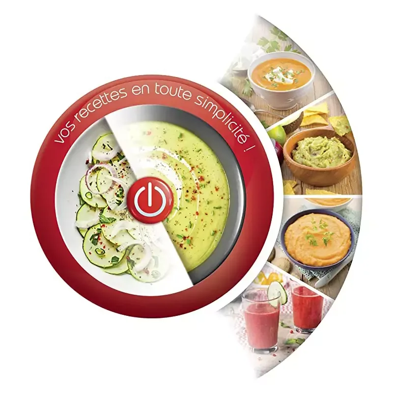 Moulinex Hand Blender Easy Chef with Beaker 450W Plastic Shaft DD45A127