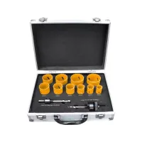 Ingco 12pcs Bi-Metal Hole Saw Set with Case AKH0121