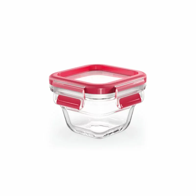 Tefal Masterseal Glass Container Rectangle 0.2L Food Storage N1041310