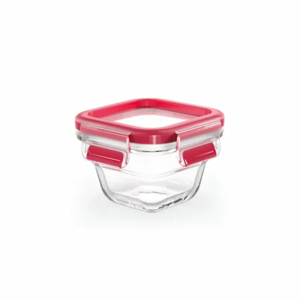 Tefal Masterseal Glass Container Rectangle 0.2L Food Storage N1041310