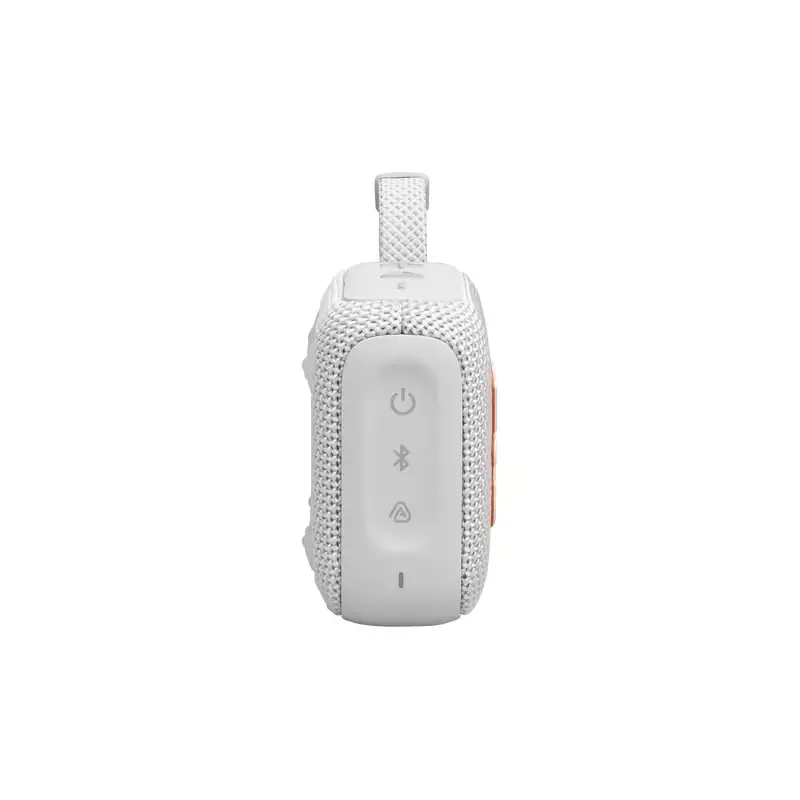 JBL Wireless Ultra Portable Bluetooth Speaker with Pro Sound, Vibrant Colors, Water & Dust Proof, Type C GO 4