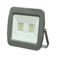 Tronic Aluminum Diecast LED Warm White Flood Light 100 Watts