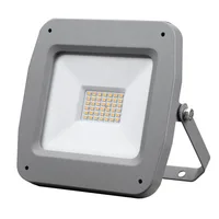 Tronic Aluminum Diecast LED Warm White Flood Light 30 Watts
