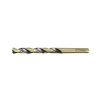 Ingco HSS Drill Bits 6.00mm 10pcs DBT1100603
