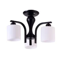 Tronic 3D Glass Ceiling Lamp - PL 6011-3D