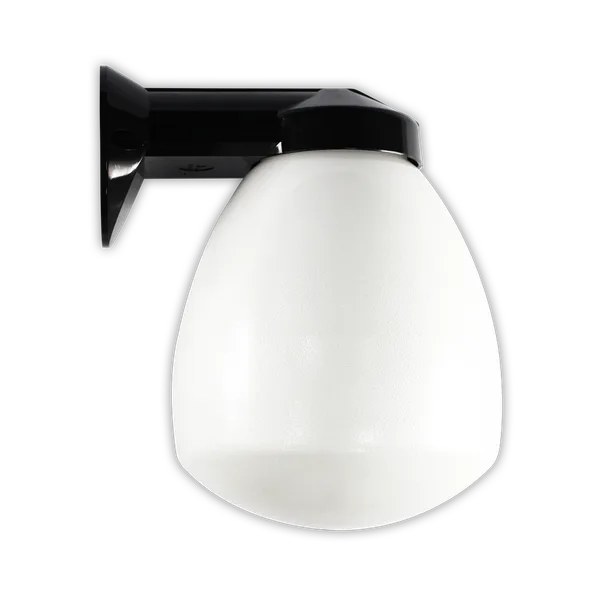 Tronic Black Proclain Wall Glass Dome Light