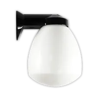 Tronic Black Proclain Wall Glass Dome Light