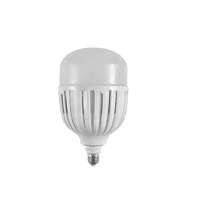 Tronic LED Daylight Bulb 100W Screw
