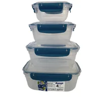 Dunya, Master Silicone Seal Rectangular Storage Container Set