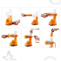 Apex Fruit & Vegetables Juicer Pro