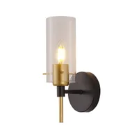 Tronic Golden Accent Fixture with Clear Glass & Black Base