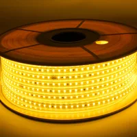 Tronic LED Series Light 50 Meters Without Adaptor