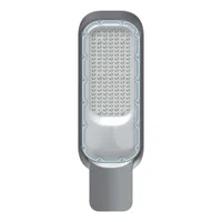 Tronic LED Street Light 100W