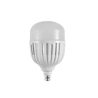 Tronic LED Daylight Bulb 100W B22 Pin Type