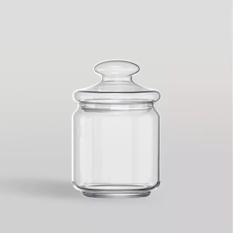Ocean Pop Glass Jar 500ml with Glass Lid 5B02517G0004
