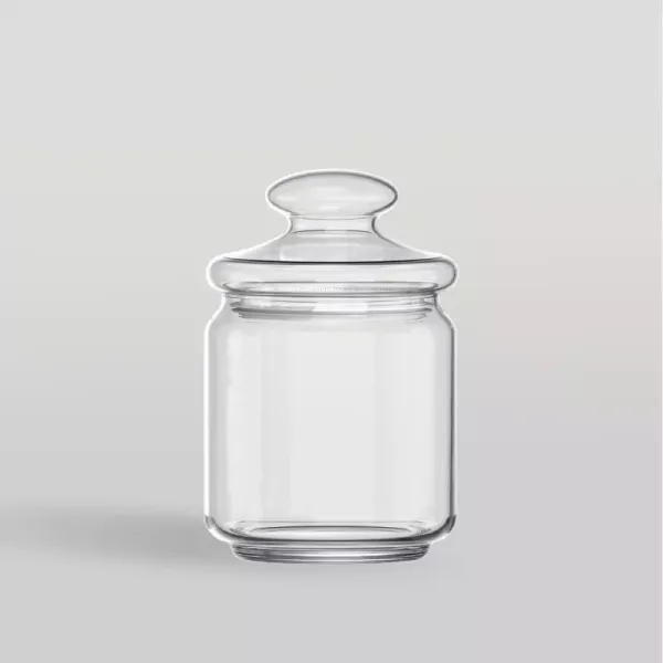 Ocean Pop Glass Jar 500ml with Glass Lid 5B02517G0004