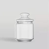 Ocean Pop Glass Jar 500ml with Glass Lid 5B02517G0004