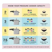 Pigeon Pressure Cooker 3l Deluxe Outer Lid Aluminium Sap 102 - Ergonomic Sturdy Handle Thermal Efficiency Special Alloy Safety Plug