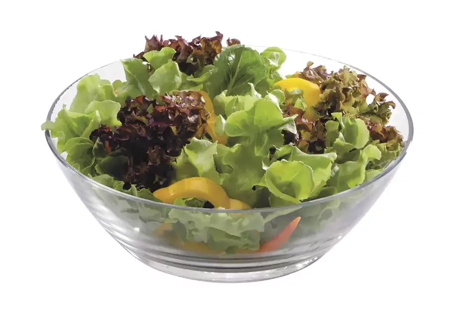 Ocean Bowl 1pc For Salad 10 inches 1P01825L