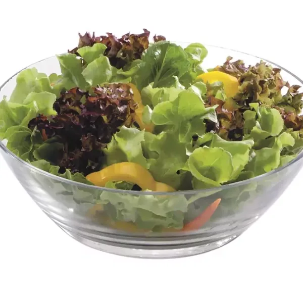 Ocean Bowl 1pc For Salad 10 inches 1P01825L