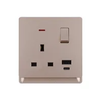 Tronic 13A Switched Socket with Dual USB Ports - Type A & C, Gold Finish