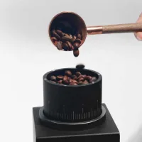 Commercial Electric Tilted Bean Grinder 30g, Titanium-Plated Ghost Burr, 100W N520-SA NB-005
