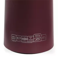 Tefal Motiva Jug Carafe Red Wine 1L Vacuum Flask Thermos Screw Lid Heat Retention N4170210