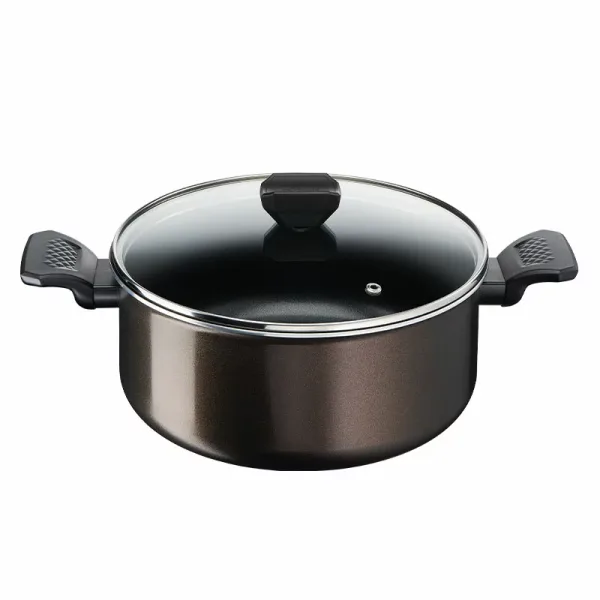 Tefal Easy Cook Stewpot 24 CM Titanium Non Stock Cooking Pot 4.7 L with Lid Suitable for All Heat Sources Except Induction B5544602