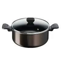 Tefal Easy Cook Stewpot 24 CM Titanium Non Stock Cooking Pot 4.7 L with Lid Suitable for All Heat Sources Except Induction B5544602