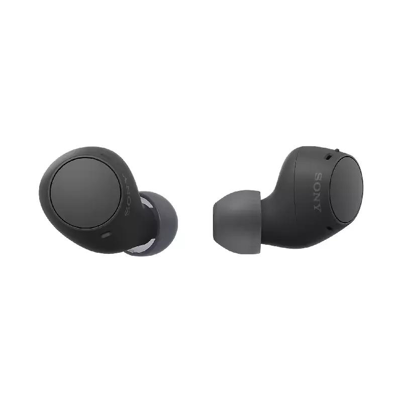 Sony Wireless Bluetooth Earbuds with Mic, Noise Cancelling, 10 Hours Playback, Quick Charge, IPX4 Rating WF-C510