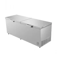 Hisense Double Door Chest Freezer, 701L, Titanium Silver, H910CFS
