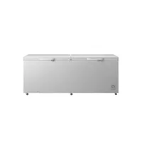 Hisense Double Door Chest Freezer, 701L, Titanium Silver, H910CFS