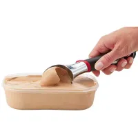 Tefal Ingenio Ice Cream Scoop 10 Inch Chromed Aluminum Premium Quality K2072214