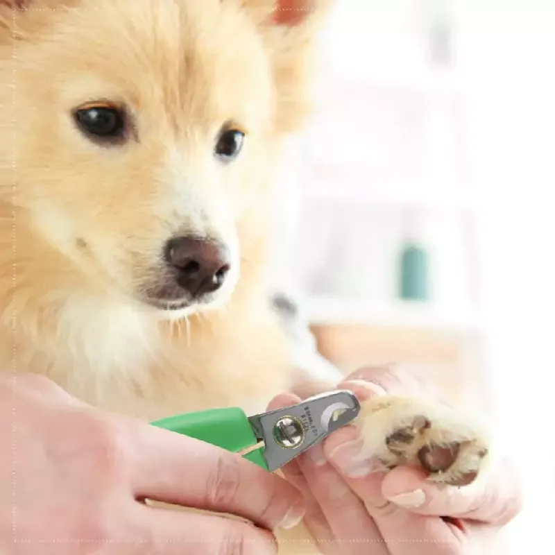 Wahl Animal Curved Nail Clipper 858455-016