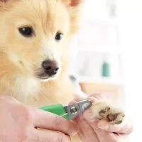 Wahl Animal Curved Nail Clipper 858455-016