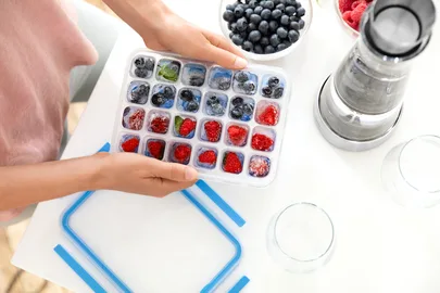 Tefal Masterseal Plastic Ice Tray 24 Holes Food Conservation K3023612